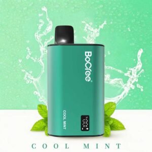original Bocfee disposable vape sigle flavor kit Electric cigars